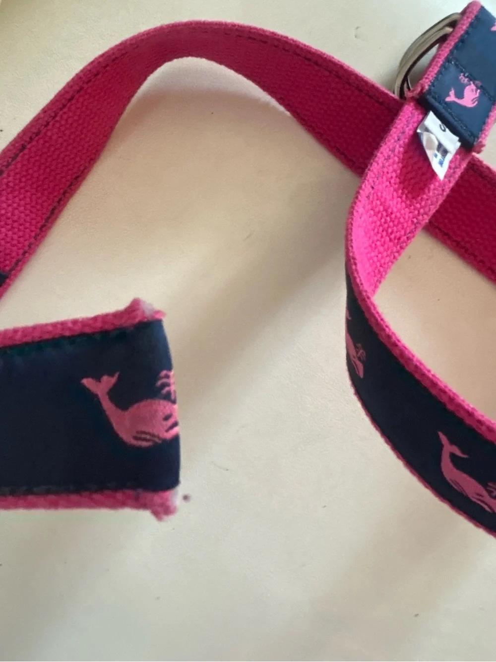 Preston Pink Whale and Navy Belt
